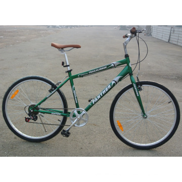 Hot Sale Hybird Bicycle 26" Cheap Multi-Speed City Bike (FP-CB-050)